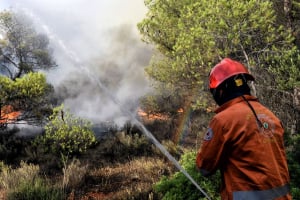 Πολύ υψηλός κίνδυνος πυρκαγιάς αύριο στη Κρήτη