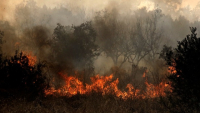Καλύτερη η εικόνα στα μέτωπα της φωτιάς σε  Κω και Χίο- Πυρκαγιά στο Γεράκι Ηρακλείου
