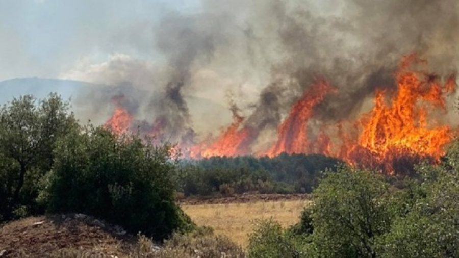Καλαμάτα: Σε εξέλιξη πυρκαγιά στην περιοχή Πλάτη της Μεσσηνίας