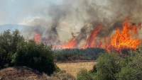 Καλαμάτα: Σε εξέλιξη πυρκαγιά στην περιοχή Πλάτη της Μεσσηνίας