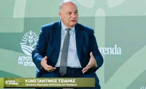 Τσιάρας: Προτεραιότητα η εξυγίανση του ΟΠΕΚΕΠΕ