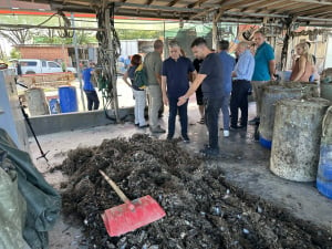 Ολοκληρωτική καταστροφή στις μυδοκαλλιέργειες του Θερμαϊκού Κόλπου