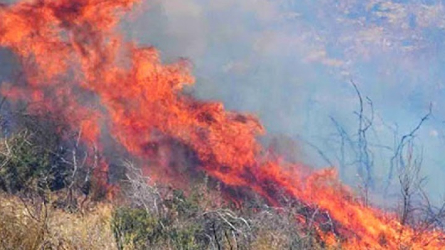 Πολύ υψηλός κίνδυνος πυρκαγιάς, την Κυριακή, σε όλη σχεδόν τη χώρα