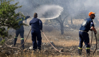 Επι ποδός όλο το βράδυ οι πυροσβεστικές δυνάμεις στην πυρκαγιά στο Σοφικό Κορινθίας