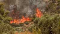 Πυρκαγιά στην Αγία Μαρίνα Κορωπίου - Mήνυμα 112 για απομάκρυνση από Μεγάλο Μετόχι και Ξελαφτάκι