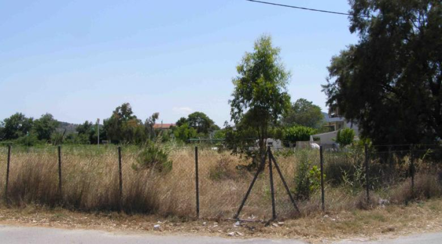 Δήμος της Αττικής καθαρίζει οικόπεδα-ζούγκλες και στέλνει το λογαριασμό στους ιδιοκτήτες