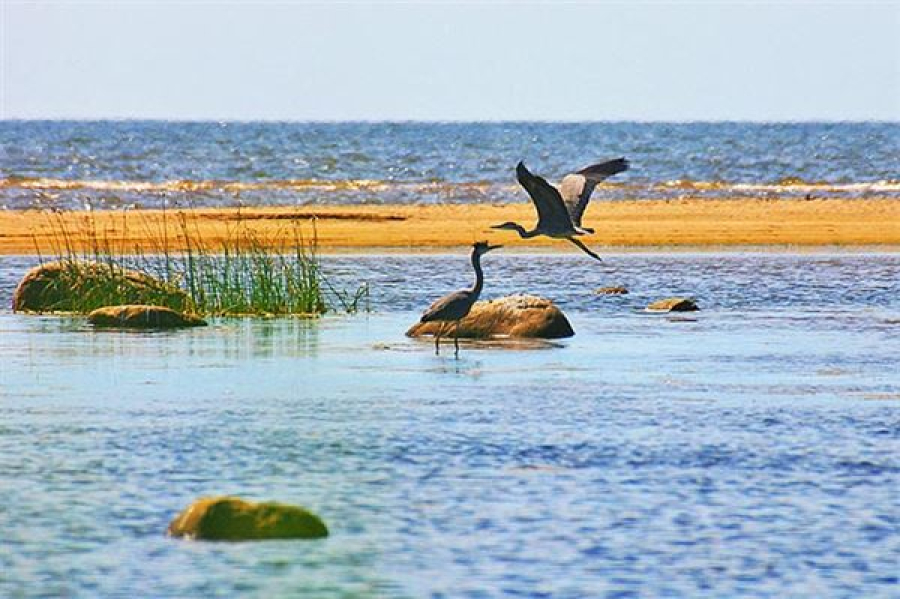 Περιοχές Natura: Πόσες υπάρχουν στην Ελλάδα - Ο ανεκμετάλλευτος πλούτος και πώς μπορεί να αναπτυχθεί βιώσιμος τουρισμός