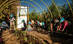 ΔΕΗ και Open Farm προωθούν τη βιώσιμη γεωργία στους μαθητές μέσω του “Carbon Farming Schools”