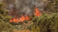 Σε εξέλιξη πυρκαγιά στη Σταμάτα - Μήνυμα του 112 στους κατοίκους