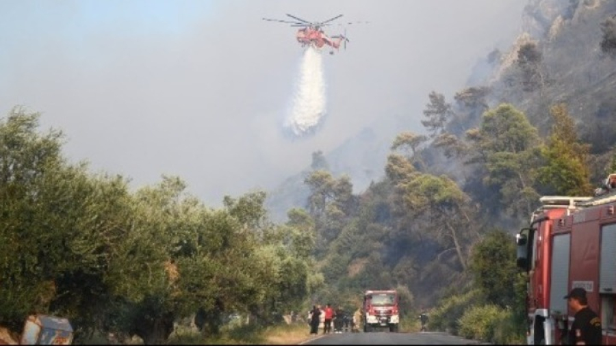 Πυρκαγιά σε δασική έκταση στις Πετριές Ευβοίας - Διακοπές κυκλοφορίας - Πυροσβέστες μεταβαίνουν ακτοπλοϊκώς