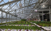 Θερμοκήπια Smart Greenhouses: Το Μέλλον της Ελληνικής Γεωργίας