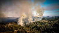 Πυρκαγιά ξέσπασε σε δασική έκταση στο Ξηροκάμπι Αρκαδίας