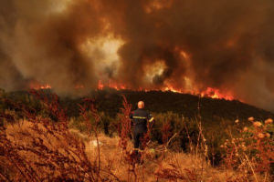 Σε 5.551 στρέμματα ανέρχονται οι καμένες εκτάσεις στην Αττική από τις πυρκαγιές του περασμένου Σαββατοκύριακου