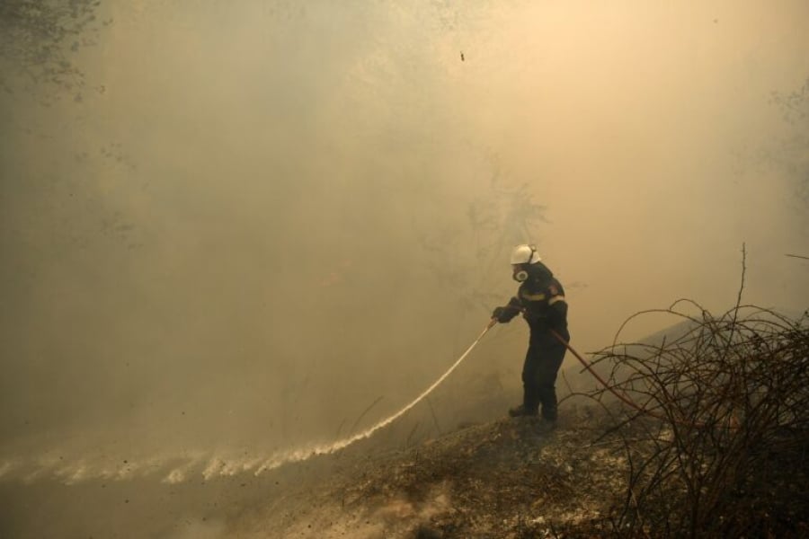 ΕΑΕΕ: Πάνω από 11 εκατ. ευρώ οι αποζημιώσεις για τις δασικές πυρκαγιές του Αυγούστου 2024