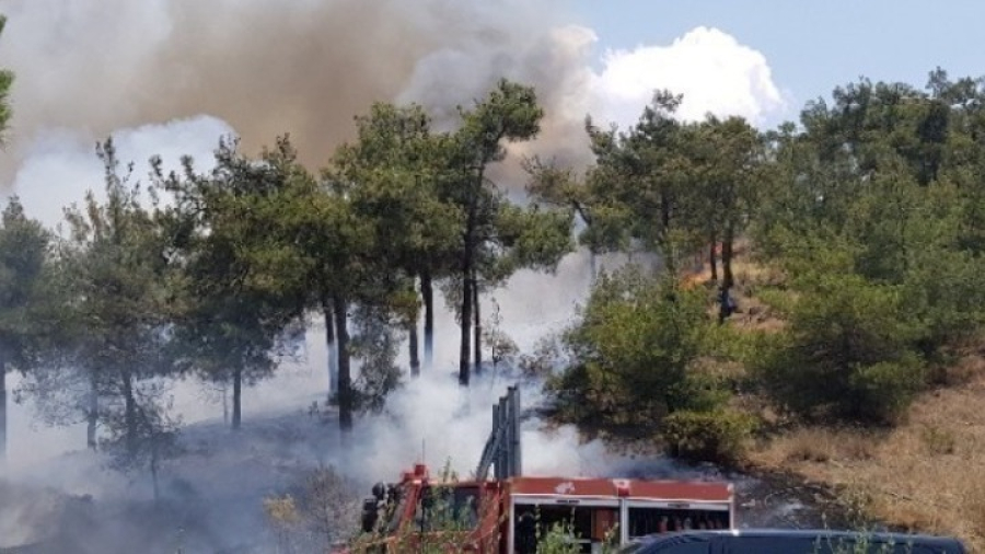 Χωρίς ενεργό μέτωπο η πυρκαγιά στην Εύβοια