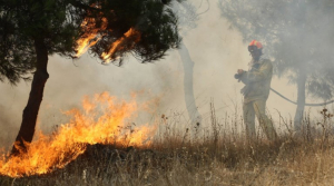 Θεσσαλονίκη: Σε εξέλιξη πυρκαγιά σε αγροτοδασική έκταση στο Ειρηνικό Κιλκίς