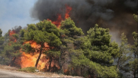 Πυρκαγιά στην Πάρνηθα: Ενισχύονται οι πυροσβεστικές δυνάμεις  - Πάνω από 100 χλμ οι ριπές των ανέμων - Κυκλοφοριακές ρυθμίσεις