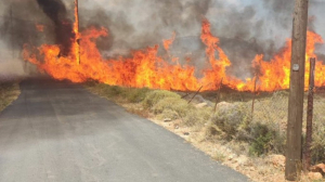 Υπό μερικό έλεγχο η πυρκαγιά στην Κερατέα