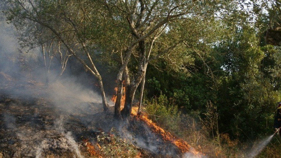 Υπό πλήρη έλεγχο πυρκαγιά σε χαμηλή βλάστηση στη Βαρυμπόμπη