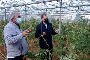 Πάνω από 400 εκατ ευρώ το νέο Μέτρο για τις Βιολογικές Καλλιέργειες