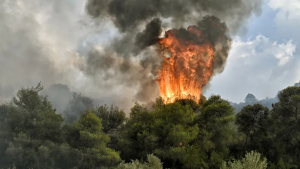 Πυρκαγιά σε δασική έκταση στη Χίο- Ήχησε το 112