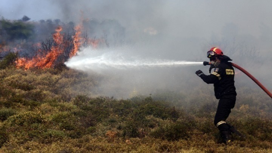 Πυρκαγιά σε αποθηκευτικό χώρο επικίνδυνων υλικών στο Πάνακτο Βοιωτίας