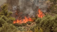 Διπλό πύρινο μέτωπο στην Ηλεία και εκκενώσεις από το 112 -  Περιορίζεται η φωτιά στην Αχαΐα - Δύσκολες μάχες σε όλη τη χώρα