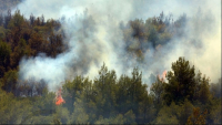 Πυροσβεστική: 41 αγροτοδασικές πυρκαγιές