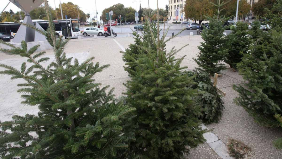 Ελατοπαραγωγοί Ταξιάρχη: Πτώση 10% στις πωλήσεις, αύξηση 10% στην τιμή