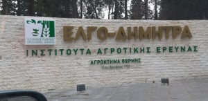 ΕΛΓΟ - ΔΗΜΗΤΡΑ: Μέχρι 24 Μαΐου οι αιτήσεις για τις 11 θέσεις Διευθυντών/ντριών στα Ινστιτούτα Αγροτικής Έρευνας