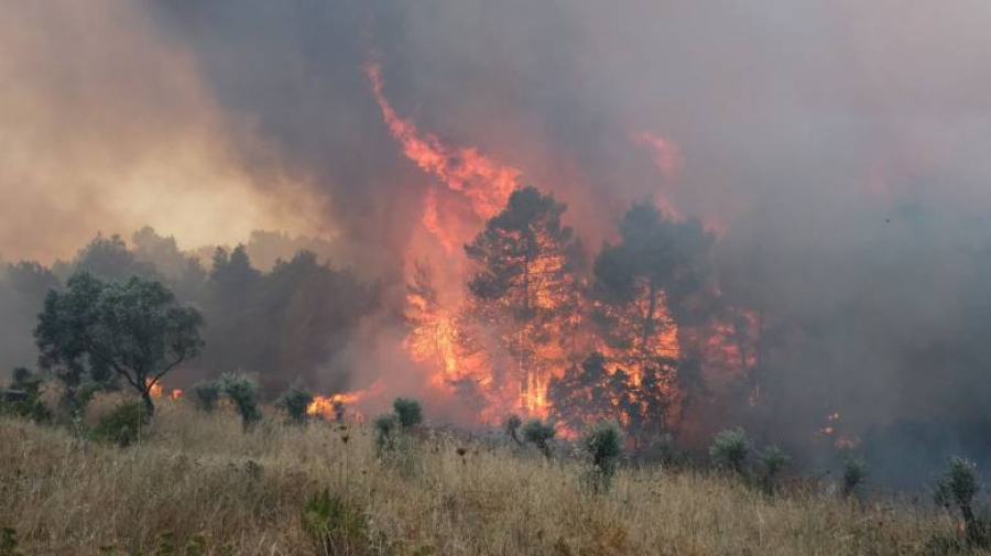 Φωτιά στη Γαύριανη Αλμυρού - Απομακρύνονται προληπτικά οι κάτοικοι