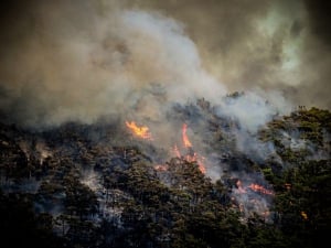 Συνεργασία του WWF Ελλάς με το Εθνικό Αστεροσκοπείο Αθηνών