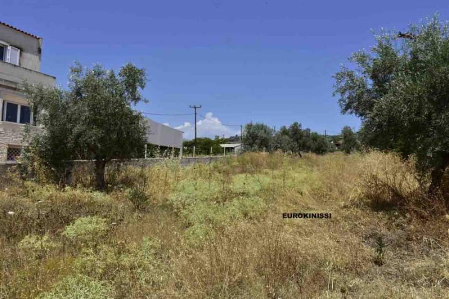 Τι πρέπει να κάνουν οι πολίτες με τις δηλώσεις για τους καθαρισμούς των οικοπέδων - Οι προθεσμίες