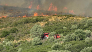 Πυρκαγιά σε χαμηλή βλάστηση στην Κερατέα