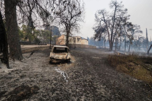 Υπουργική απόφαση ρύθμισης και αναστολής πληρωμής ασφαλιστικών εισφορών για πληγέντες από τις πυρκαγιές