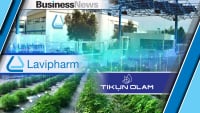 Lavipharm: Στόχος ο διπλασιασμός πωλήσεων την επόμενη πενταετία -  Οι εκτιμήσεις για το 2024