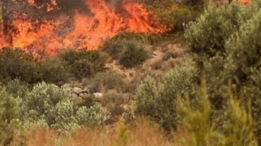 Πυροσβεστική: 51 αγροτοδασικές πυρκαγιές το τελευταίο εικοσιτετράωρο στη χώρα