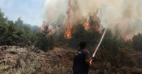 Συνελήφθησαν δύο άτομα για πυρκαγιές από πρόθεση και κατ’ εξακολούθηση στη Νέα Μάκρη - Αναζητείται ένας ανήλικος