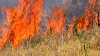 Mάχη με τις φλόγες στην Κερατέα - Υπάρχουν 4 διαφορετικές εστίες - Απεγκλωβισμοί κατοίκων και εκκενώσεις
