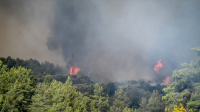 Χανιά: Πυρκαγιά στο Έλος Κισσάμου