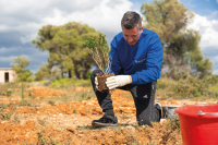 BAT Hellas: «Πράσινες» δράσεις για ένα Καλύτερο Αύριο